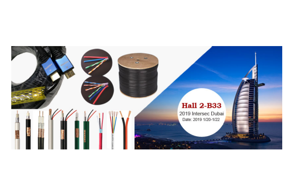 2019 Intersec Middle East(Dubai) is coming